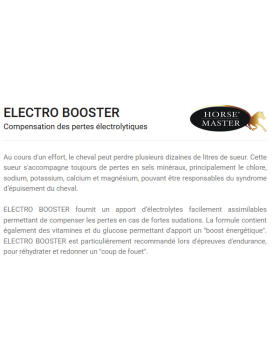 Horse Master - Complément - Electro Booster Seringue 60ml 