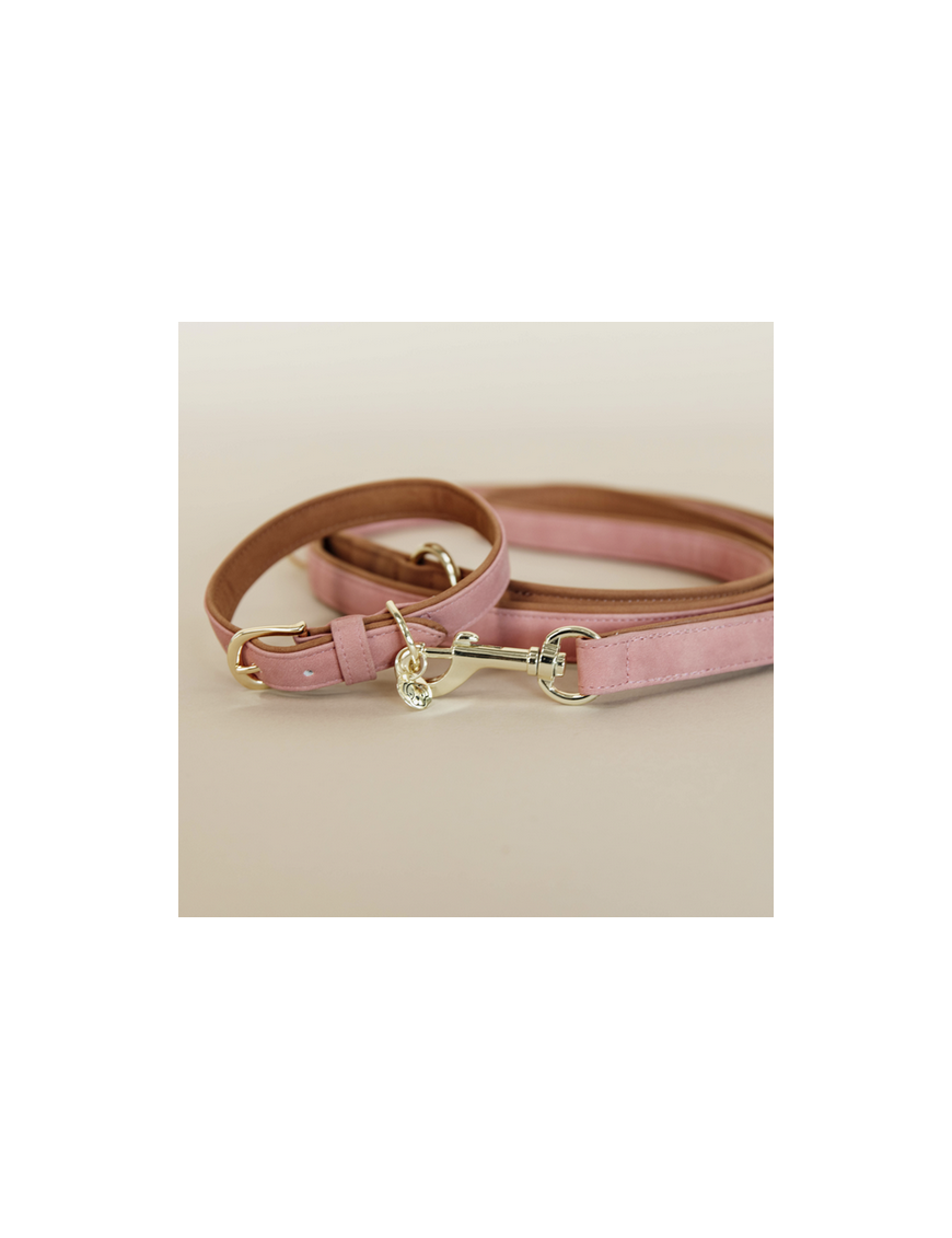 Kentucky - Chien - Collier pour chien en cuir vegan