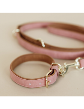 Kentucky - Chien - Collier pour chien en cuir vegan