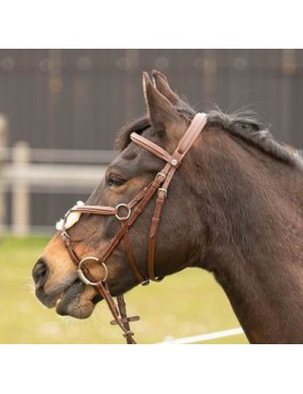 Harry's Horse- Bridon- Bridon Mexicaine Havane COB