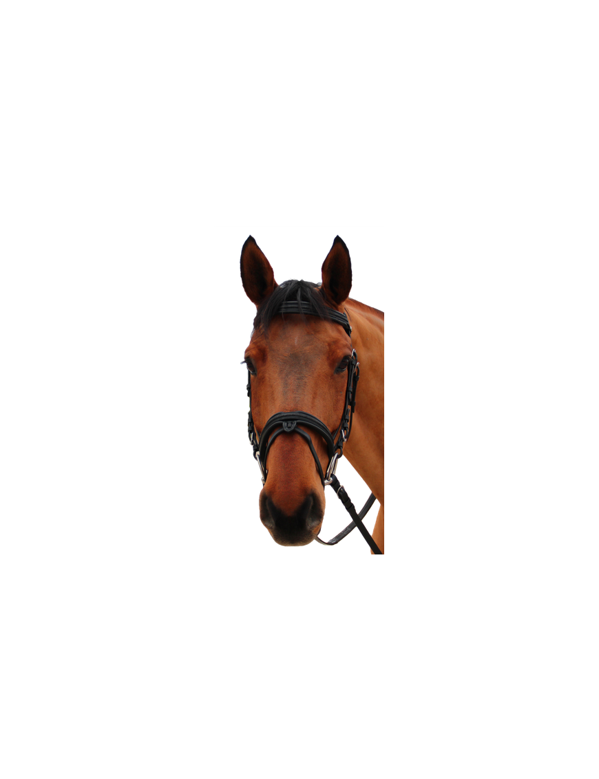 Canter-Bridons-Bridon Mylord Marron/Light Gold