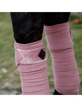 Kentucky - Protections - Bandes de Polo Velvet 