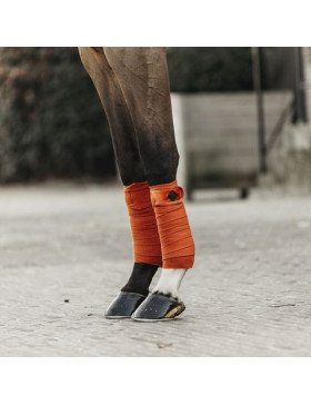 Kentucky - Protections - Bandes de Polo Velvet 