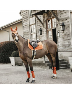 Kentucky - Protections - Bandes de Polo Velvet 