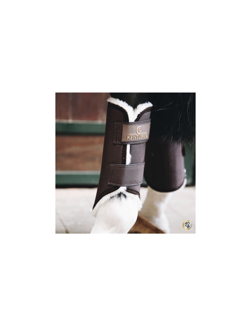 Kentucky - Protections - Brushing Boots Solimbra Posterieur