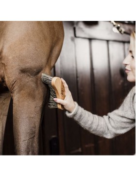 Kentucky - Grooming Deluxe - Bouchon Dur