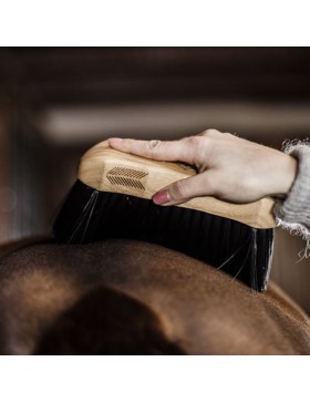 Kentucky - Grooming Deluxe - Bouchon à poils durs