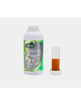 Ravene - Complément - Becool 500 ML