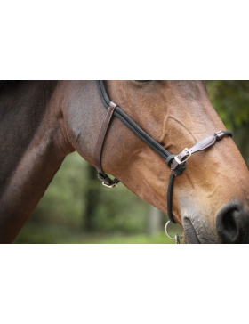 Penelope leprevost - Licol - Ethologique - cheval