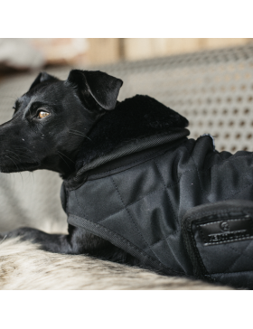 Kentucky - Manteaux chiens - Manteau pour chien Original Noir