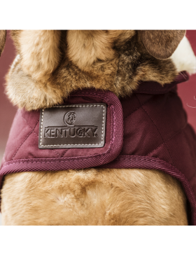 Kentucky - Manteaux chiens - Manteau pour chien Original Bordeaux