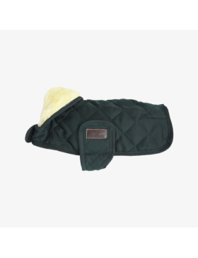 Kentucky - Manteaux chiens - Manteau pour chien Original Vert Sapin