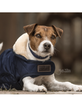 Kentucky - Manteaux chiens - Manteau pour chien Original Marine