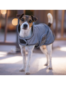 Kentucky - Manteaux chiens - Manteau Reflective & Water Repellent Gris