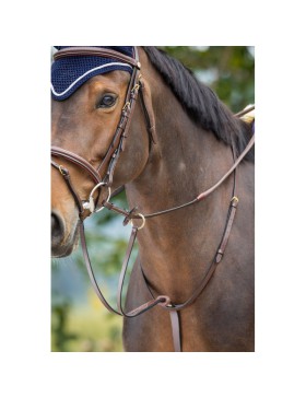 HFI - Cheval - Martingale à anneaux