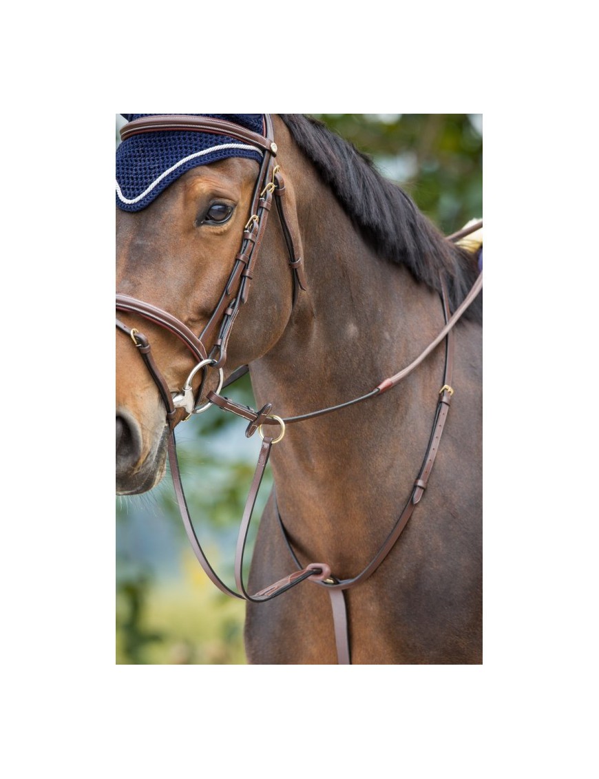 HFI - Cheval - Martingale à anneaux