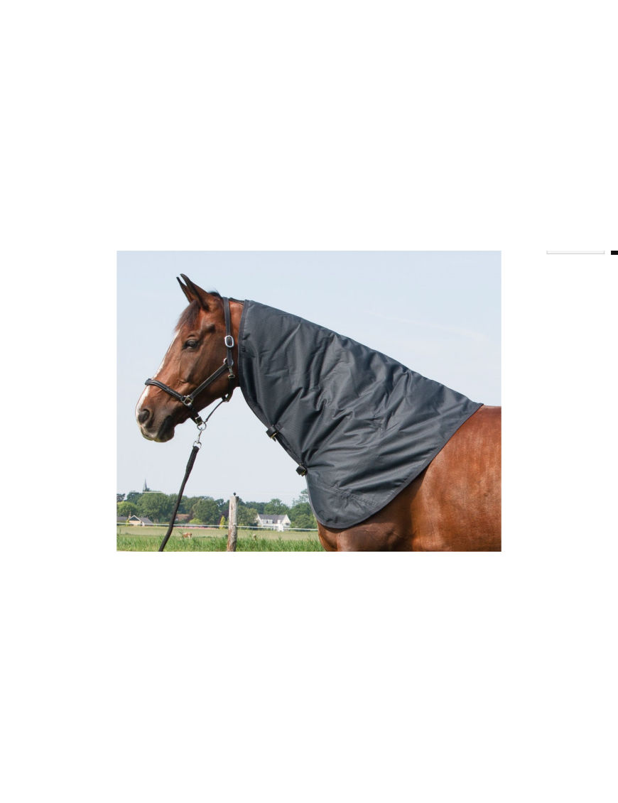 Harry's Horse - Accessoires Couvertures - Cou amovible imperméable "Thor" 200Gr L