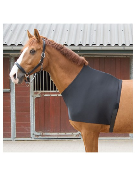 Harry's Horse - Accessoires couvertures - Protege épaule en lycra