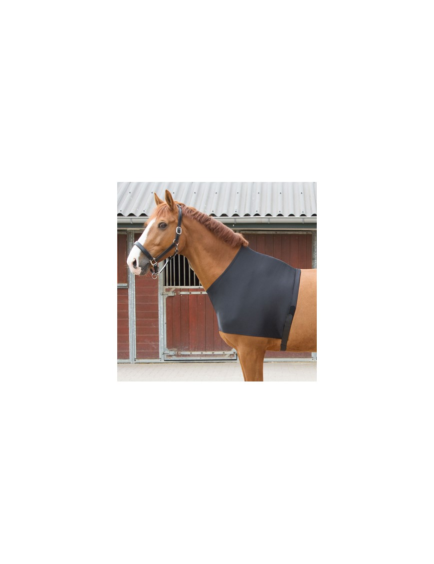 Harry's Horse - Accessoires couvertures - Protege épaule en lycra