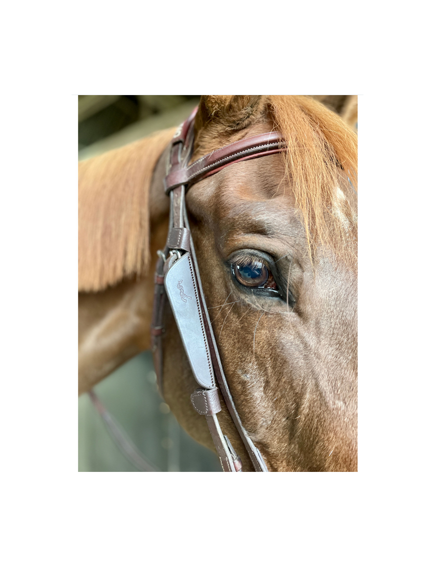 Pénélope Leprevost - Accessoires - Oeillères Blinkers T.U