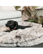 Paniers et matelas pour chiens