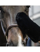 Brosses peignes et gants