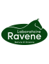 Ravene