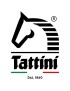 Tattini