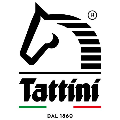 Tattini